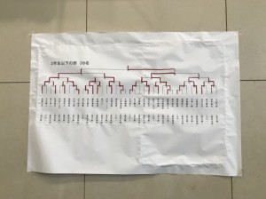 三川剣道大会_180108_0009